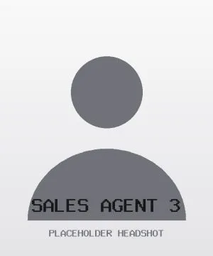 Sales Agent 3